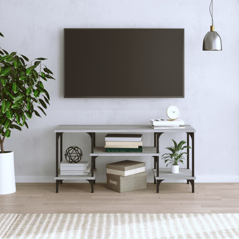 Affonso TV Stand for TVs up to 32", Grey Sonoma