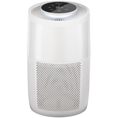 Instant Air Purifier with True HEPA