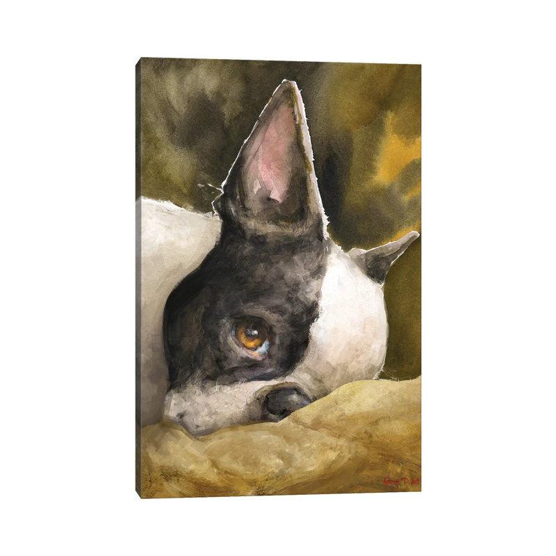 Boston Terrier With Background by George Dyachenko - Wrapped Canvas Painting, 66.04 cm H x 45.72 cm W x 3.175 cm D