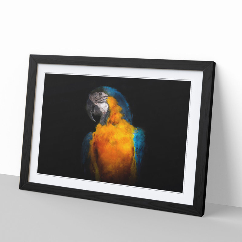 A Blue and Yellow Macaw Parrot - Picture Frame Graphic Art, Black Framed, 27cm H x 36cm W x 2cm D