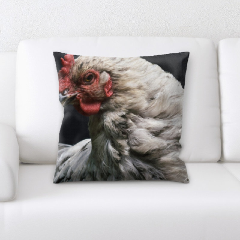 Coussin oiseau