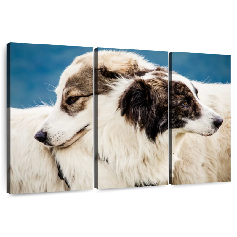 Brampt Australian Shepherd Dogs, 28" H x 45" W