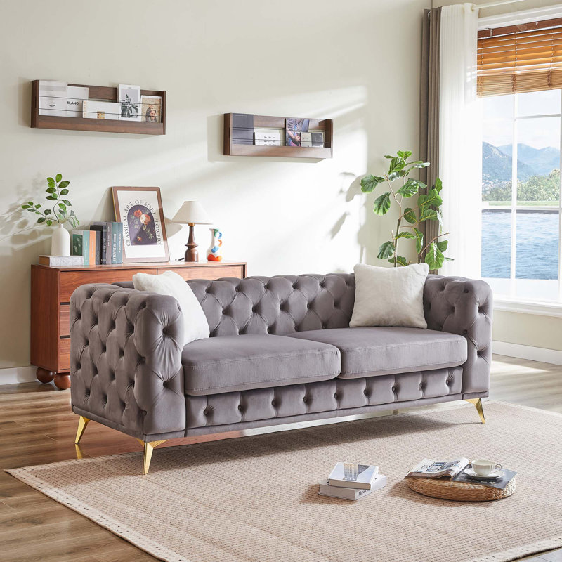 Canapé en velours de luxe avec 2 coussins, Gris, 3, H 30,25 po x l 82,5 po x P 32,75 po