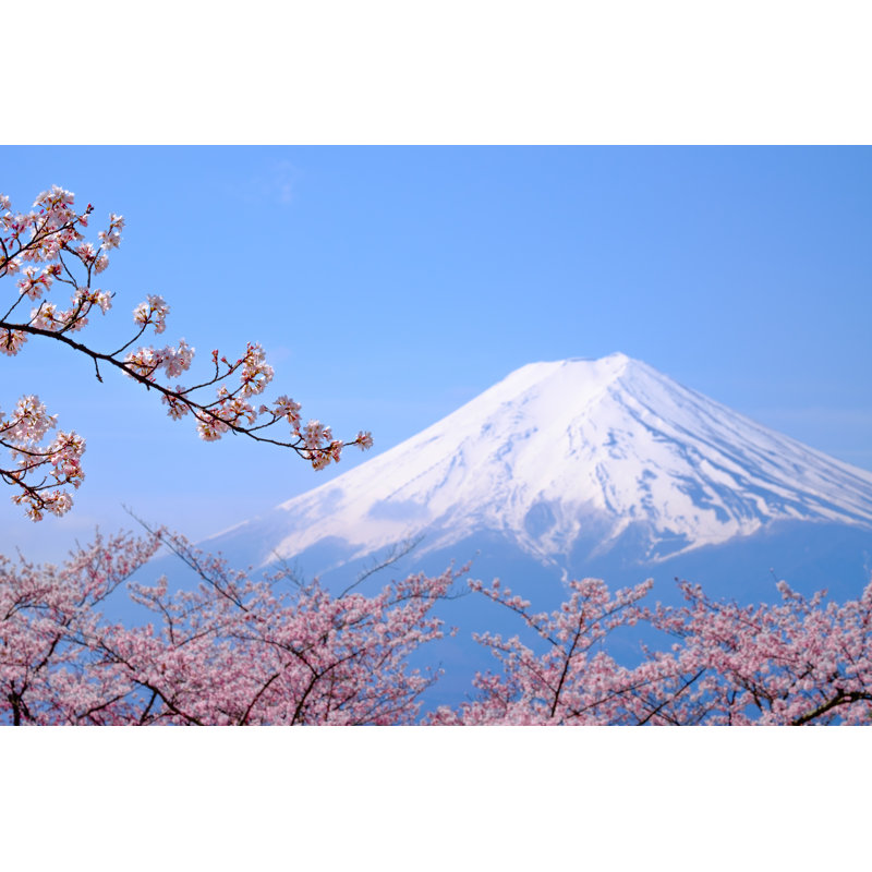 Beautiful Cherry Blossoms by Itsaret - Wrapped Canvas Print, 30cm H x 46cm W