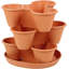 Saliah Pot Planter-230512548