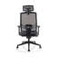 Ergo Twist Mesh Office Chair