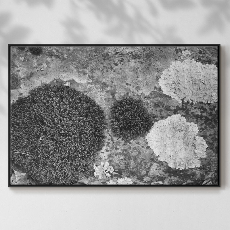 " Found Textures XIX ", 17" H x 25" W x 2" D, Black Floater Framed Canvas