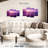Gillard Purple Gillard-107469589
