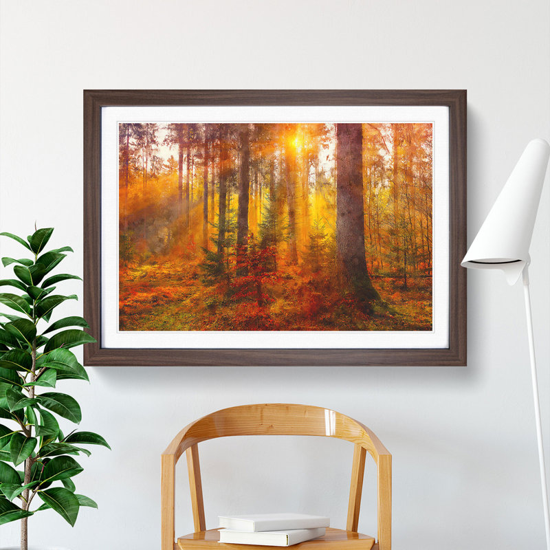 Mystery Forest - Picture Frame Graphic Art Print, 24cm H x 33cm W x 2cm D, Walnut Framed