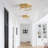 2-Lamp Clear Glass Gold Round Mesh Adjustable Ceiling Light