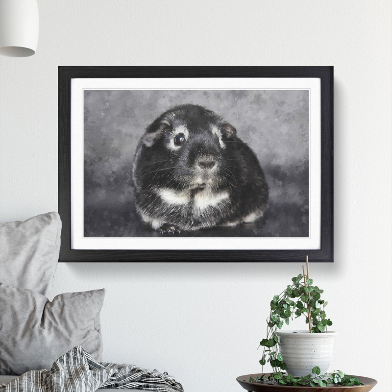 Guinea Pig - Framed Print, 48cm H x 65cm W x 2cm D, Black Framed