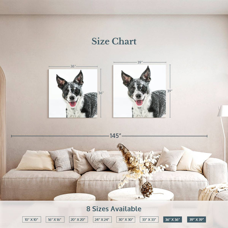 Brampt Snow Covered Border Collie, 39" H x 39" W