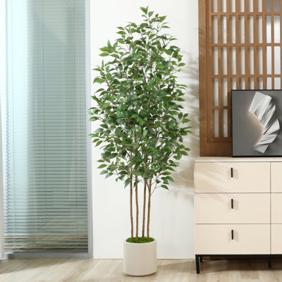 Adcock Faux Ficus Tree in Pot with White Planter, Faux Green Ficus Plant, Fake Tree for Home Décor