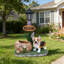 Jardinière Corgi Dog