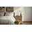 Rahul 2-Drawer Rustic Pine Nightstand with Integrated USB & AC Charging Station