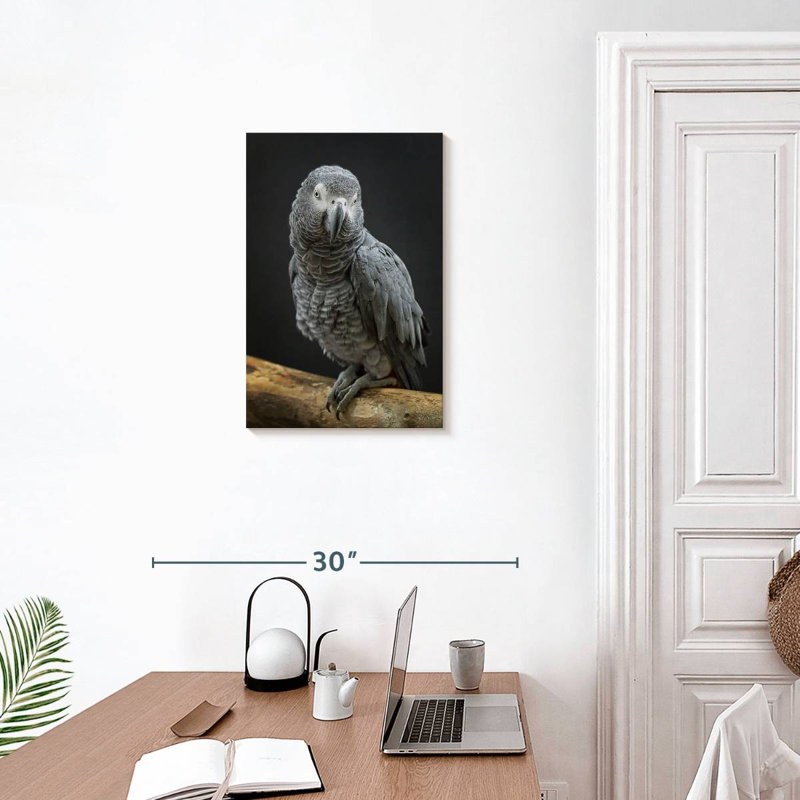Brampt Congo Grey Parrot, 24" H x 16" W