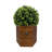 24'' Faux Boxwood Plant in Composite Pot