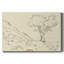 Christchurch Oak I-Gallery Wrapped Canvas-1733757410