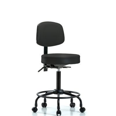 Barcus Backed Adjustable Backrest Adjustable Height Ergonomic Lab Stool