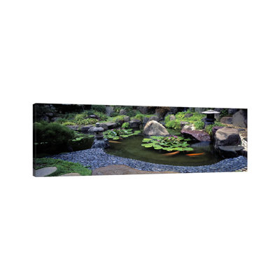 Lotus Blossoms, Japanese Garden, University of California, Los Angeles, California, USA #2 1 Piece Wrapped Canvas Panoramic Wall Art