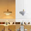 Luminaire suspendu nordique 1 lumière