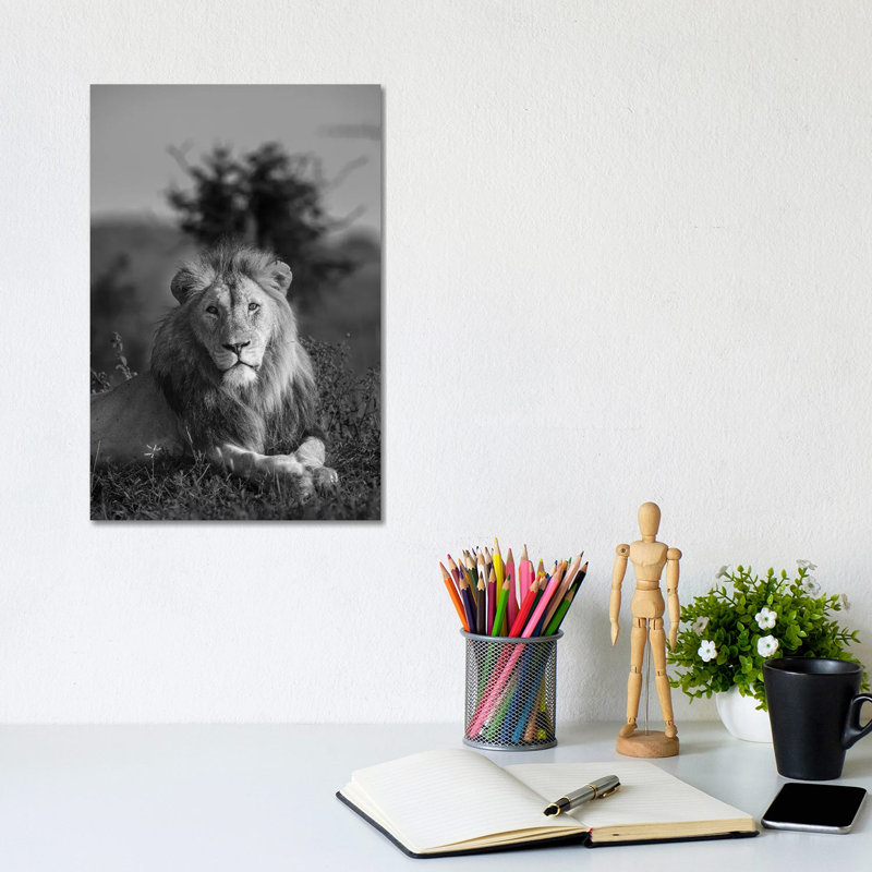 Lionking by Anders Jorulf - Wrapped Canvas Print, 30.48cm H x 20.32cm W x 1.91cm D