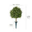 Arbre sphérique artificiel Ashwell Osmanthus -527098361-527098363