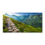 50cm W x 100cm L Glass Peel and Stick Panel