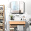 Armoire à pharmacie avec miroir H 27,5 po Jakela-1527144086
