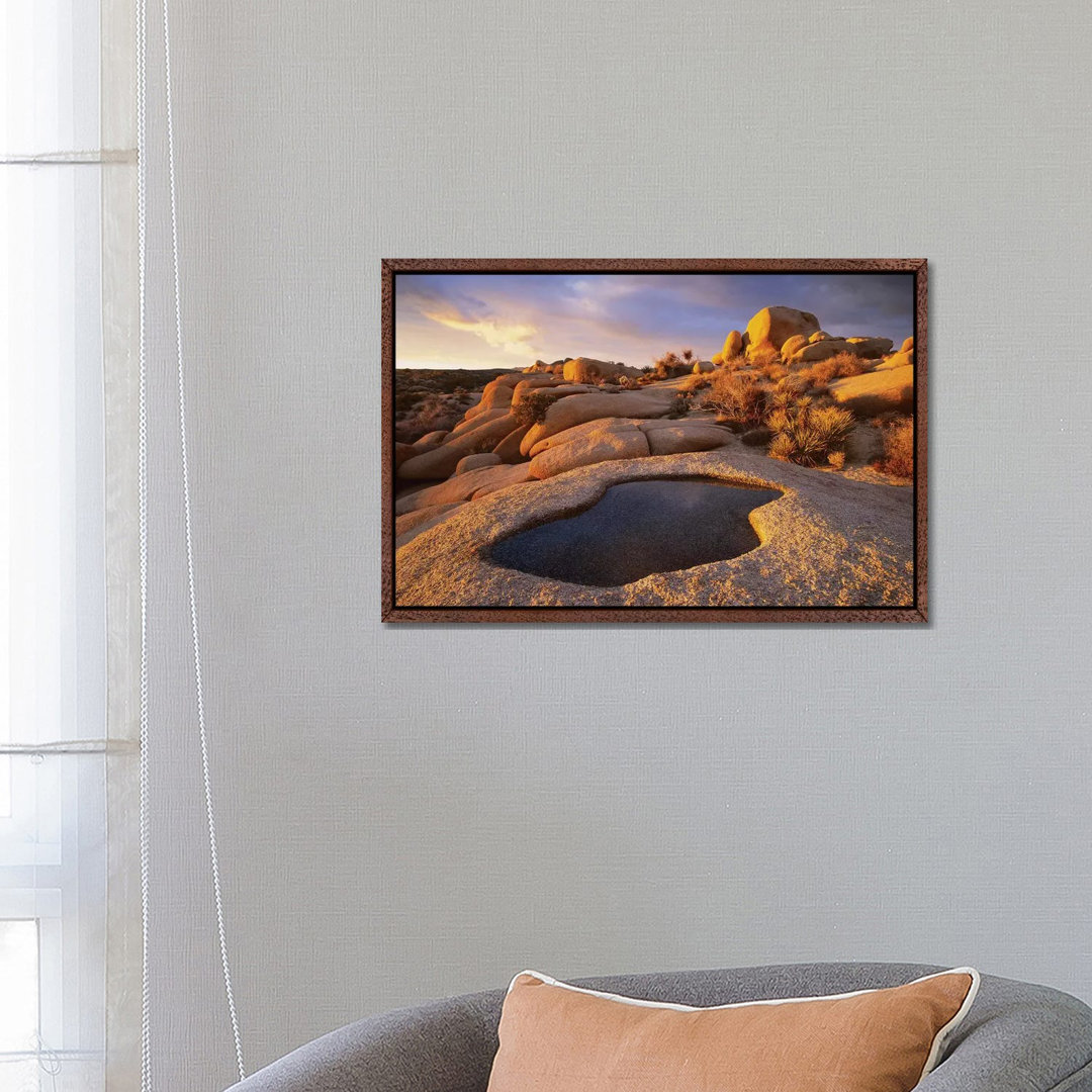 Water That Has Collected In Boulder, Joshua Tree National Park, California von Tim Fitzharris - Gallery-Wrapped Canvas G...