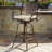Almira Metal Outdoor 29.5'' Bar Stool with Cushion