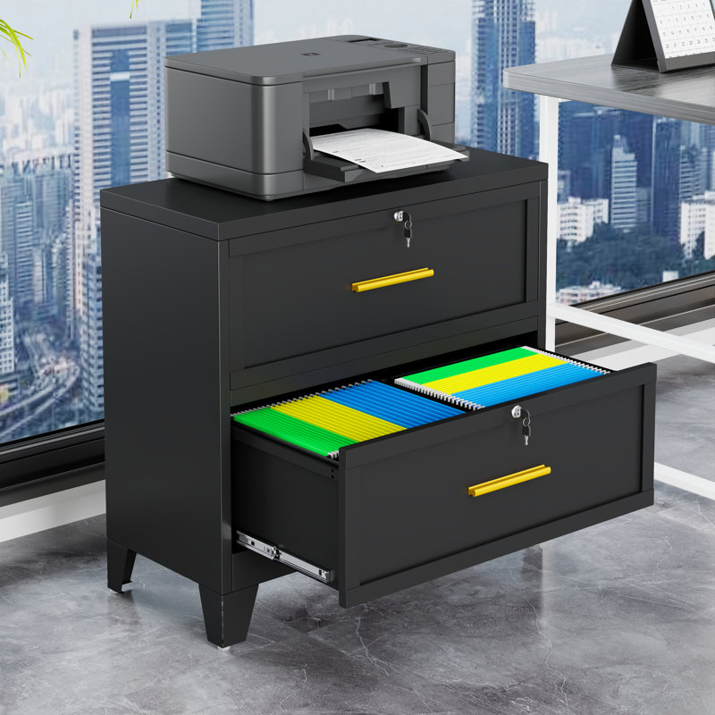 2 Drawer Metal Lateral Office File Storage Cabinet with Lock, 2-Drawer Black