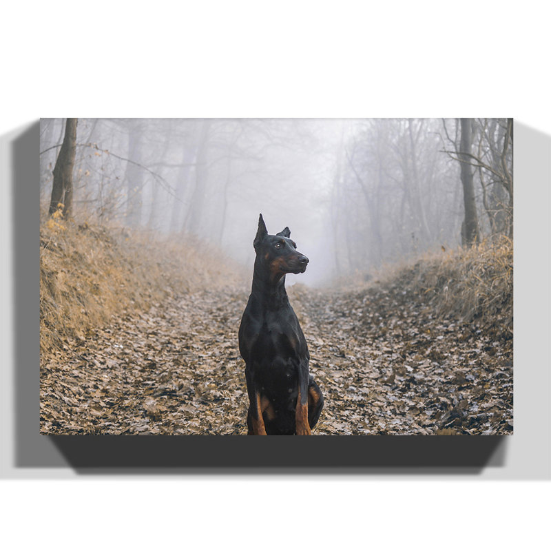 Doberman Dog - Wrapped Canvas, 70cm H x 100cm W