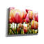 "Tulipes" par PhotoINC Studio-1547412591