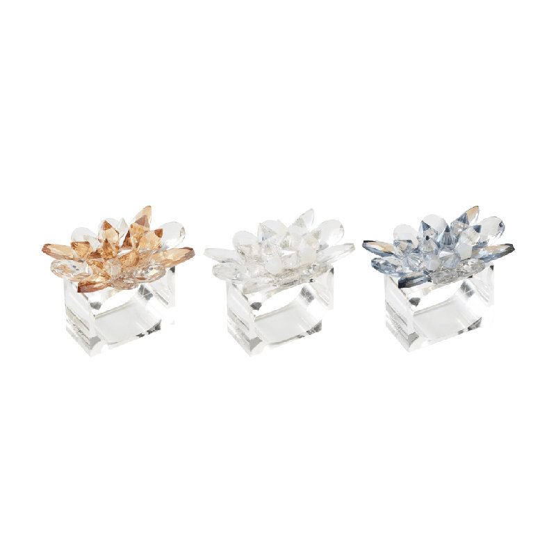 Spectra Napkin Ring Set, Champagne/Crystal