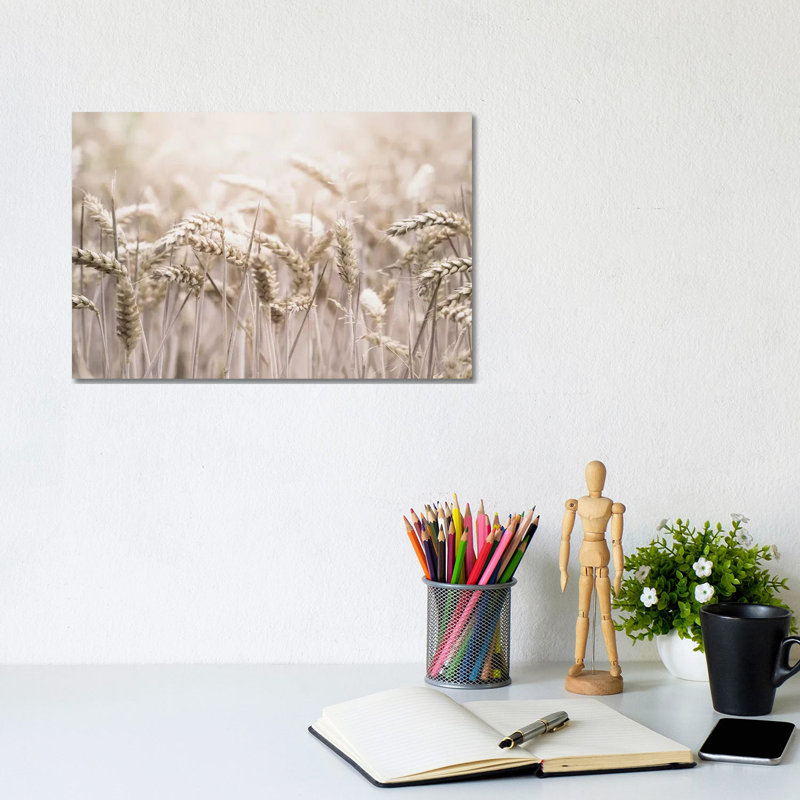 Wheat by Leah Straatsma - Wrapped Canvas Print, 20.32 cm H x 30.48 cm W