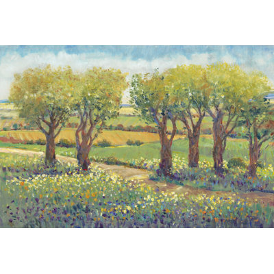 Allée de jardin I