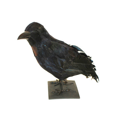 8" Halloween Raven, Black Tabletop Crow