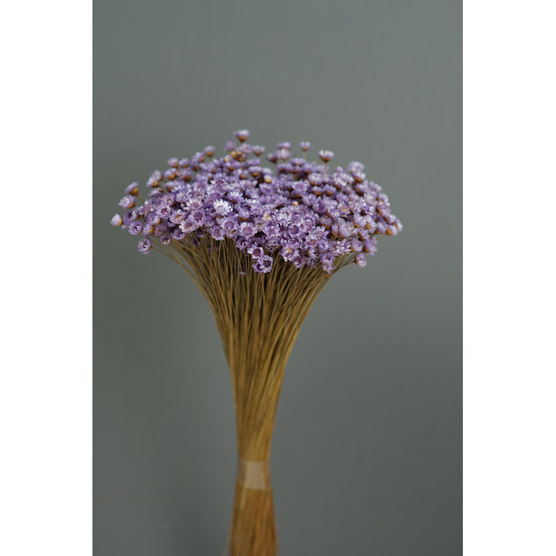 Arrangement floral marguerite, Lavande