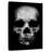 Phantom Skull-1421572507