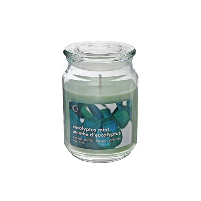 Bougie parfumée Ih Casadecor Eucalyptus Mint