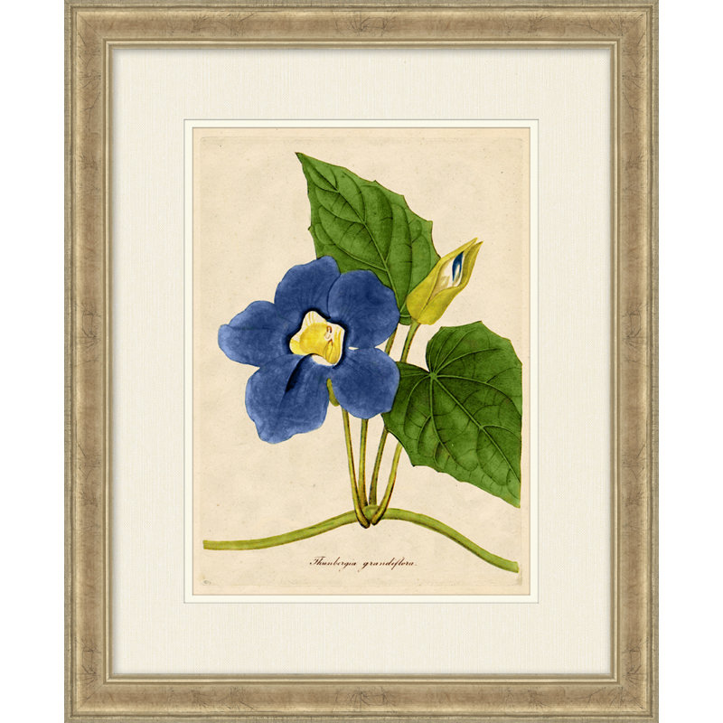 Radiant Floral 9 Print