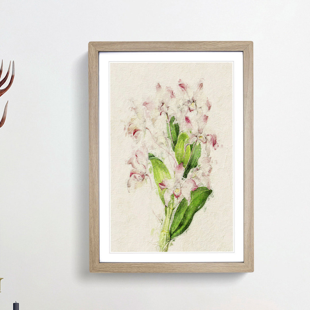 Illustration of Pink Dendrobium Orchids - Picture Frame Painting Print