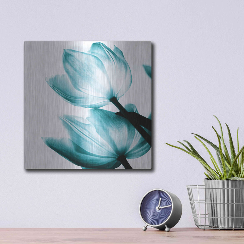 Art mural en métal Ebern Designs «Translucent Tulips II Teal» par Debra Van Swearingen, H 12 po x l 12 po