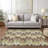 Shanata Washable Abstract Indoor / Outdoor Rug-1595256199