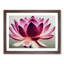 Mesmerising Lotus Flower - Framed Print-493907285-493907307