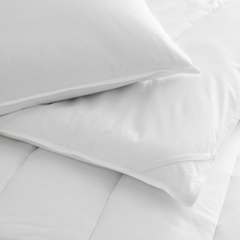 Martex Clean Essentials Pillow and Pillow Protector Set With Silverbac Antimicrobial Technology, Standard