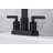 Dayani Two-Handle Centerset Bathroom Faucet with Drain Assembly -Matte Black-58635881