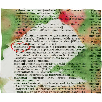 Jeté en polaires en peluche gui dictionary art