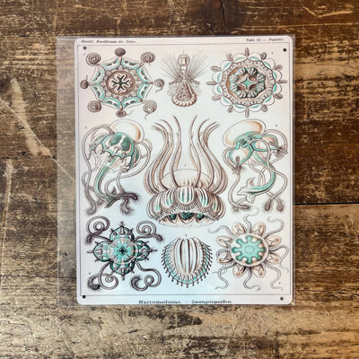 Handmade Nautical & Beach Wall Decor on Metal